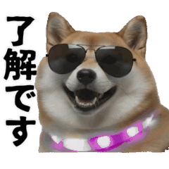 パリピな柴犬と猫の動くスタンプ