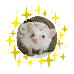 akiko_20250901154333