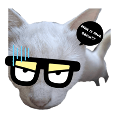 Namii_20250901144557