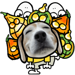 動くビーグル犬(ハロウィン)