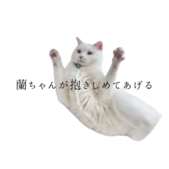 dekaiinukaitai_20250901014728