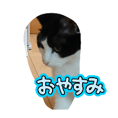 M_20250901200853