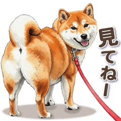 地味に動く柴犬スタンプ