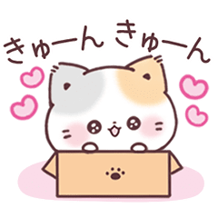 うるうるおめめ＊ぷにゃんこ