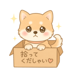 Chapufu_20250901090637