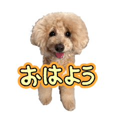 yumi_20250901214013