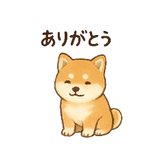 Hikari_20250901123500