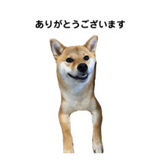 yamada_20250901125057