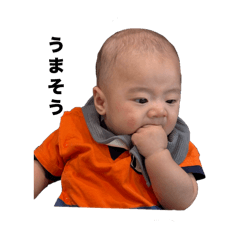 kamomi_20250901190337