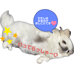 witch_20250901192437