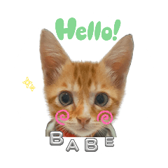 BABEBABE_20250901195928