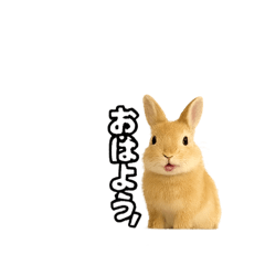 ウサギのコトバ
