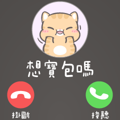 皮皮毛毛☘️想你的寶包來電(全螢幕皮皮版)