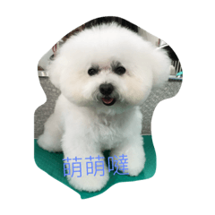 so cute~mei