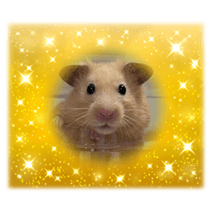 tamago_20250901210809