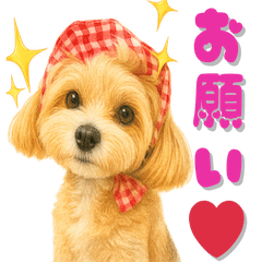 Tinas Cozy Everyday Stickers