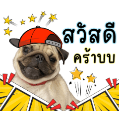 เกี๊ยวกรอบยืนหนึ่ง