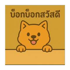 Oscar Jr._20250901220226