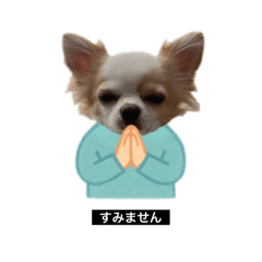 If Okoge were human?