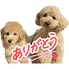 Kotetsu_20250901183607