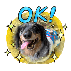 sevenseas_20250901183124