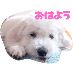 koko_20250901215650