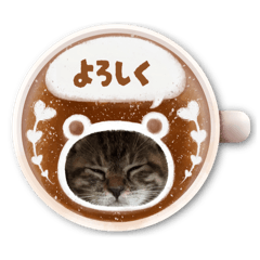 cocoa_20250901201722