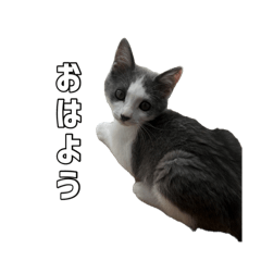 m_20250901173714