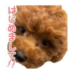 Hirochin_20250901233139