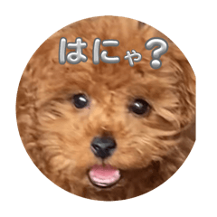HACHI_20250901230754