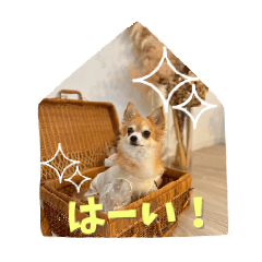 shiron_20250902113815