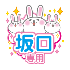 Cute Rabbit Conversation for sakaguchi