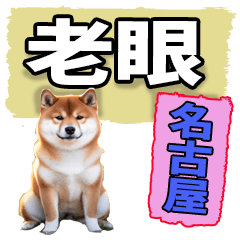 老眼でも見える【名古屋弁】柴犬