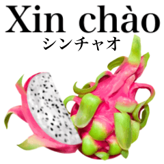 Tropical Dragon Fruit 26