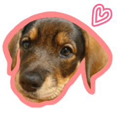 Emma's cute sticker (puppy)