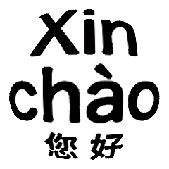 Vietnamese commonvocabularydailydialogue