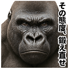 ゴリマッチョ降臨