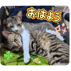 kazumi_20250902094429