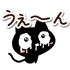 Very cute black cat166