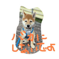Yuka_20250831205808