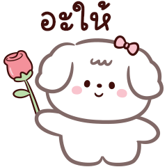 จา จา หมาน้อย :) น่ารัก