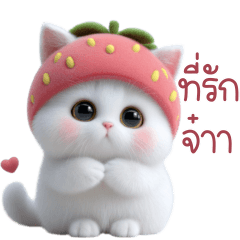 โนวา แมวขาว หมวกสตรอเบอร์รี่ 1_93