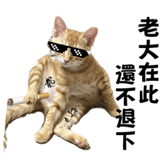 小橘貓（旗魚&歐戀）