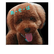 PrettyDog8