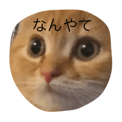 Asahi_20250902203519