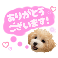 eririn_20250902002648