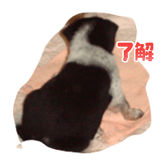 akiko_20250902005823