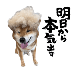 sachi_20250902005957