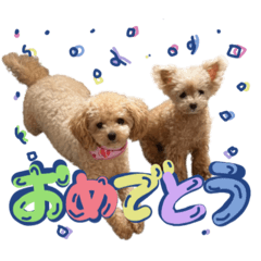 20250902134907rinrun