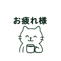 Everyday with a Cute & Chill Cat